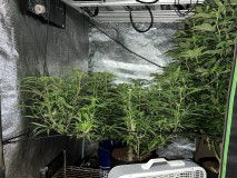 54A44596-D262-4243-9BB2-9655838BAB95