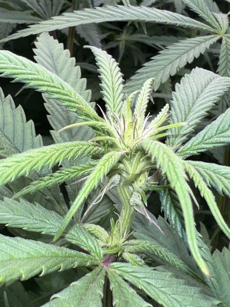 C5A964DE-46D6-46CB-BE72-BBB7907B376D