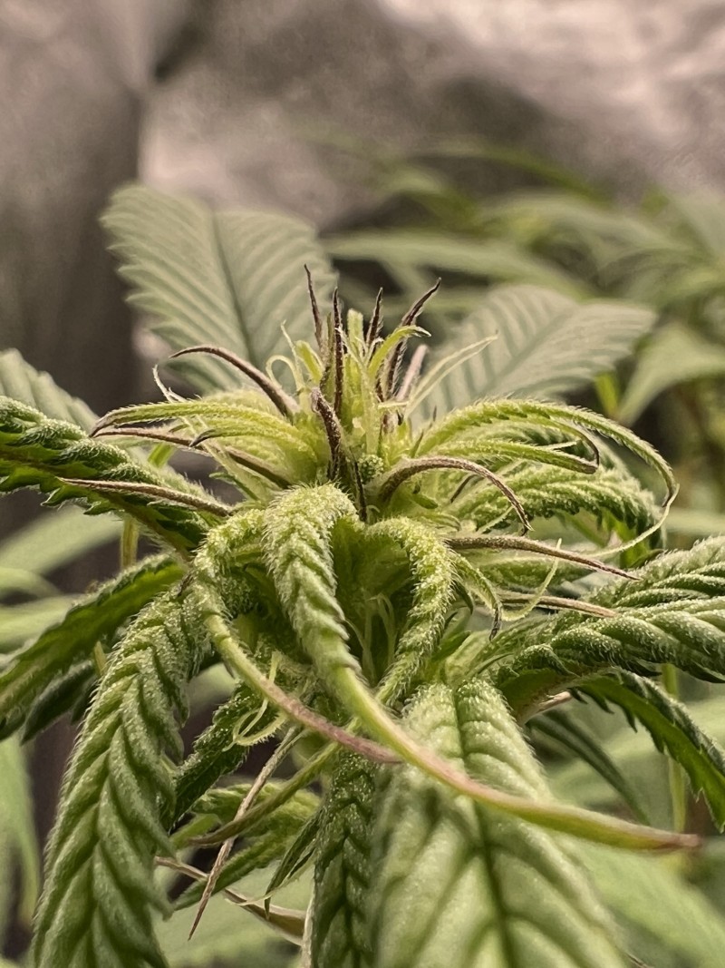 05581A65-B92D-4810-891E-11C3F85DE9EA