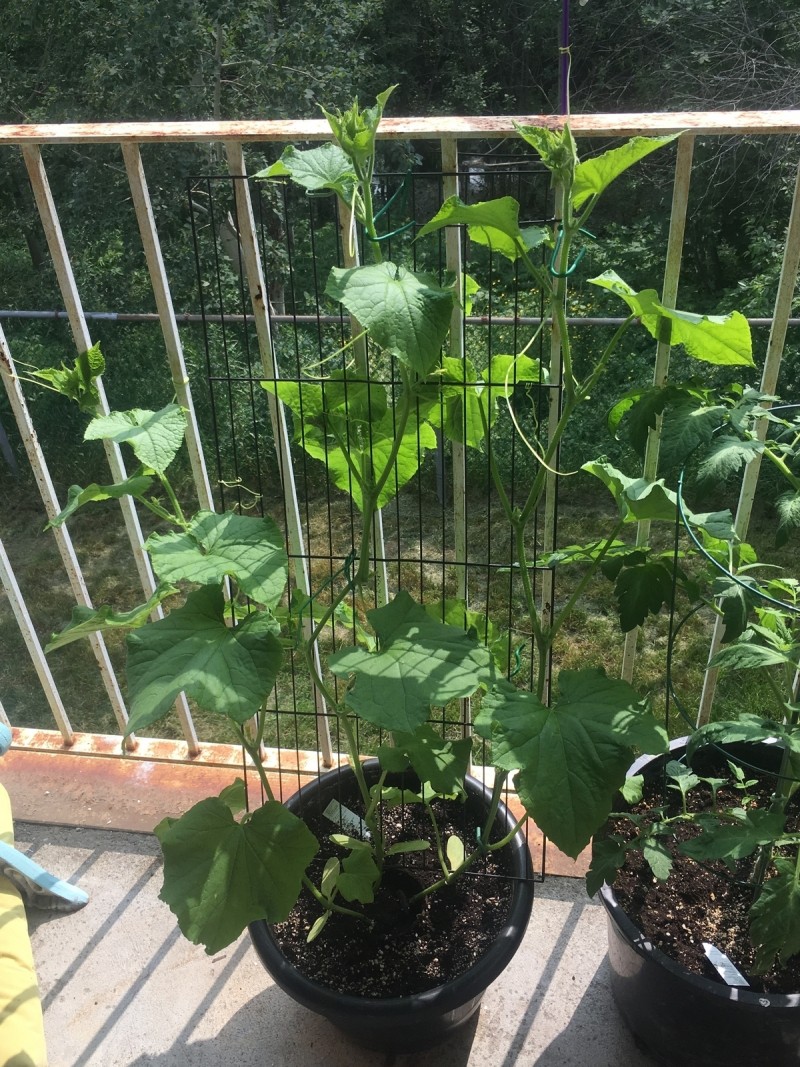 BCABE01A-FC77-4EBE-9C33-0AE0BA7C9379