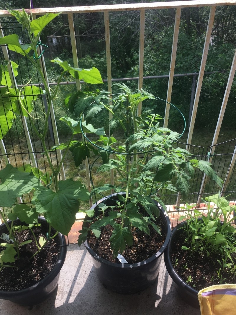 B07B12A5-12DC-4A42-850F-5149E620CAE0