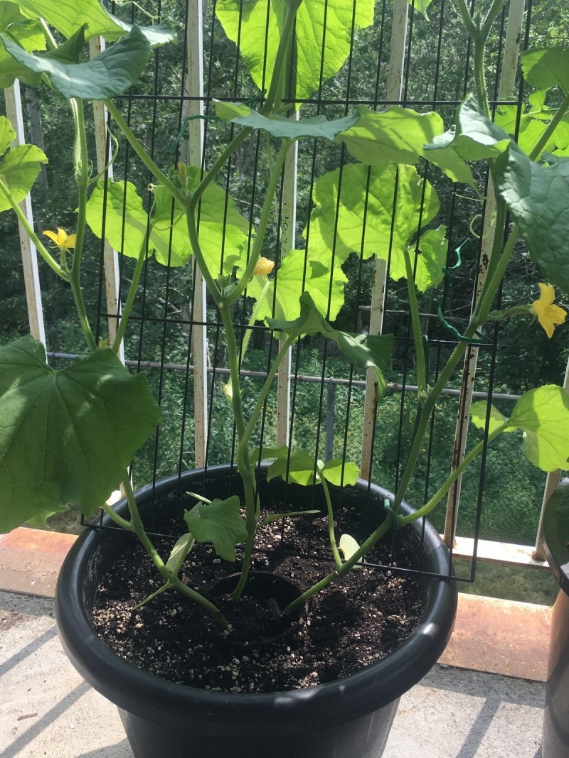 15CD1BFE-5910-4C9E-B1BA-62F105CFC189