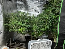 F2557CD1-5ACD-4775-9F14-AAA442E6D9B3