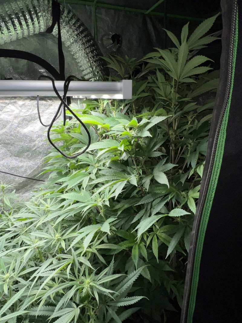 BE992A55-27A6-42D9-8E63-E1932ED4CA98