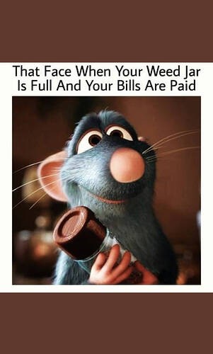 1b376382da001d49950cd2065a6f30552715b659_2_301x500