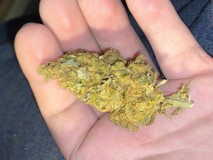 5B4500CE-7C33-4418-8FD4-5E846850A985