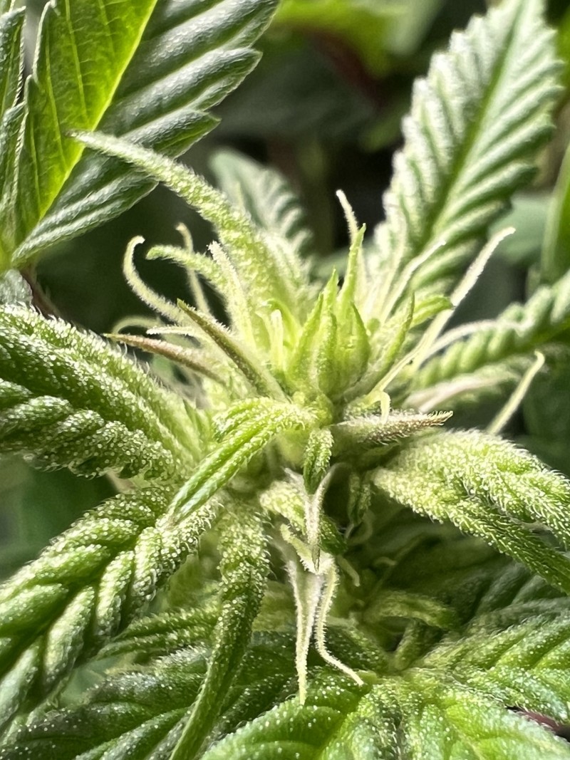 DD5538BC-E077-4B09-BF78-36A3D22E451D