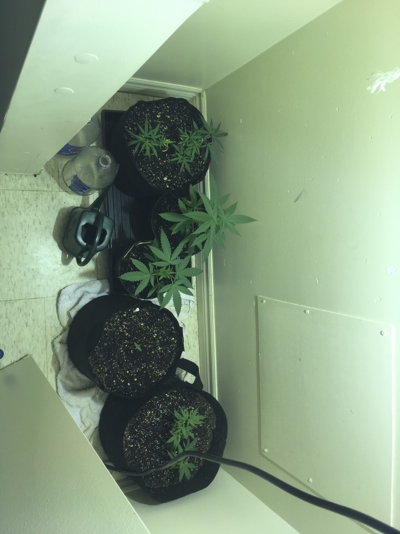 658AEAF7-F040-472A-8045-05857DCE0664