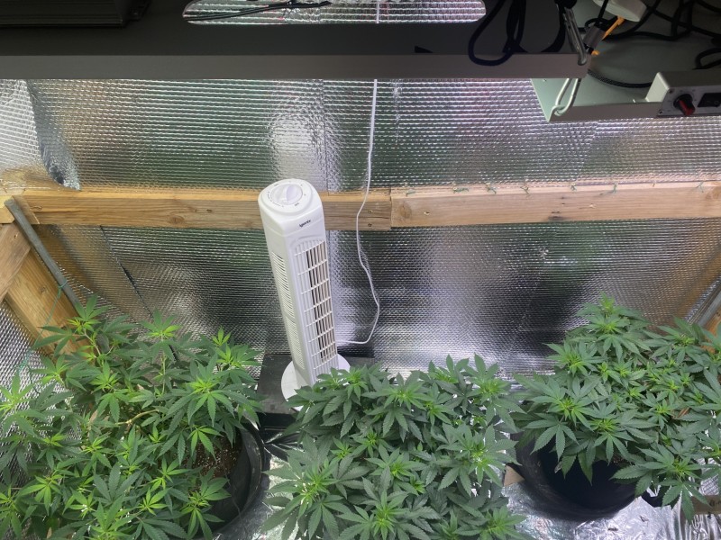 AD91A956-BC01-4BE1-9C8C-7C1CE1C5A2EC