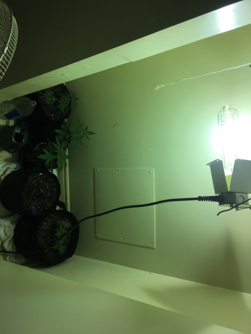 7DEF1882-B764-47E2-B95C-C5686CC835E8