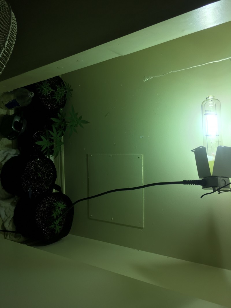 9E7E168F-5FED-4A23-9CE5-DE843B236F72