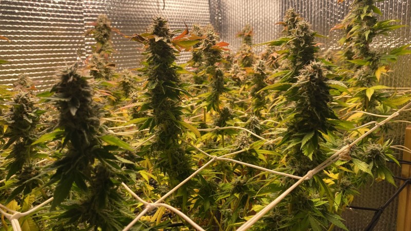 B344A4DF-6541-402F-A695-BDF302EAE043