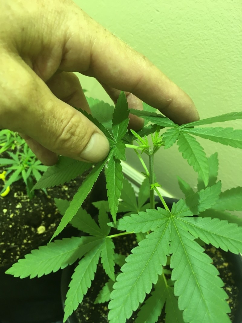 690775FD-587F-470C-B16F-C9B9114434BF