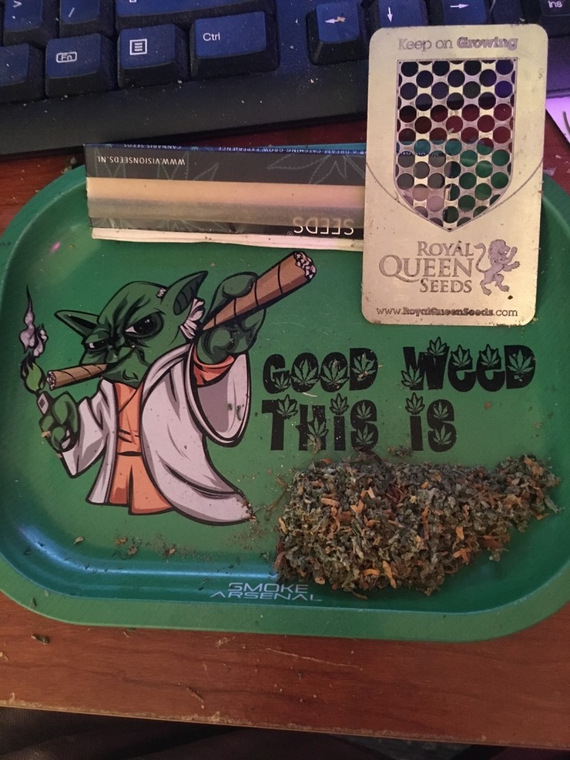 5BE132AF-13F5-4486-AC7D-1F57E7EEDEDA