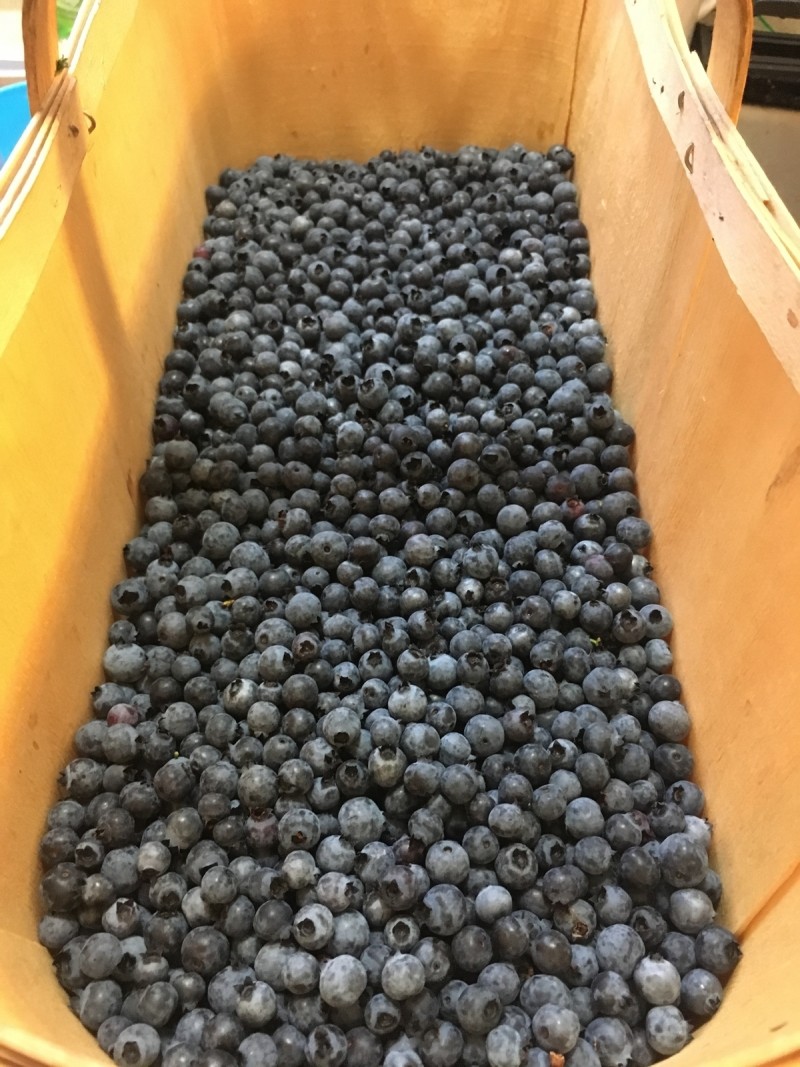 E01EE28E-EE51-402D-8CFC-D76BEEBD0249