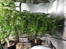 9A52B151-EDF8-480D-9517-3DA797660393