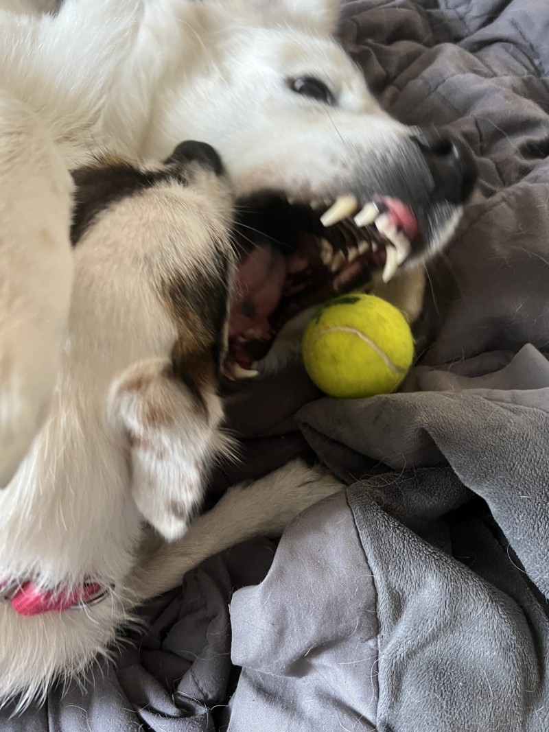 5C030796-2F4A-4601-9060-7524E1DBE4F2