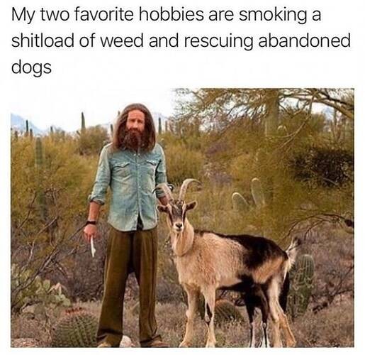 d803ae327bc8d14392113c247f4eec0133b32f82_2_515x500