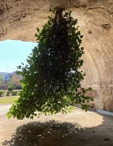 a979cf3774569e9ada253dacab1c5b25c493b905